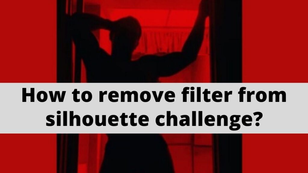 remove filter from silhouette challenge