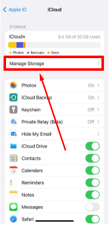 icloud manage store